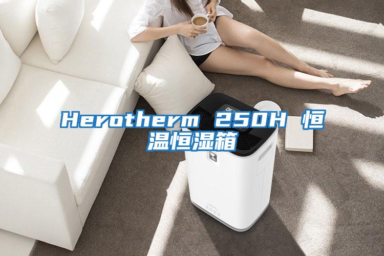 Herotherm 250H 恒温恒湿箱