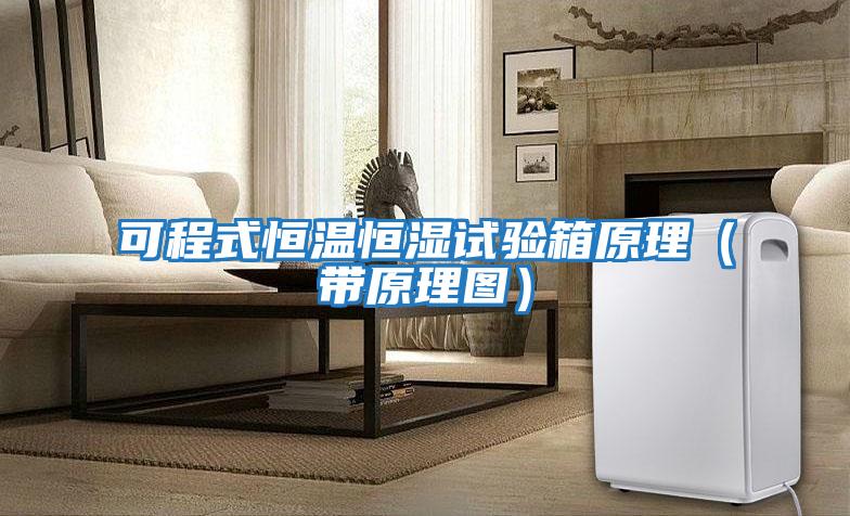 可程式恒温恒湿试验箱原理（带原理图）