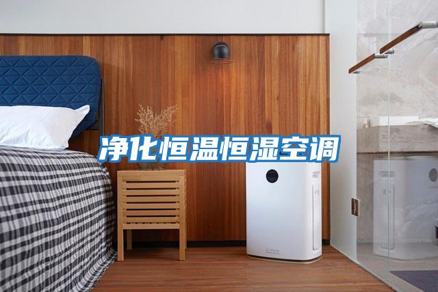 净化恒温恒湿空调