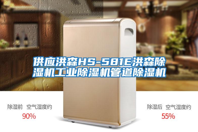 供应洪森HS-581E洪森除湿机工业除湿机管道除湿机