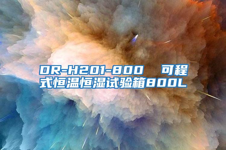 DR-H201-800  可程式恒温恒湿试验箱800L