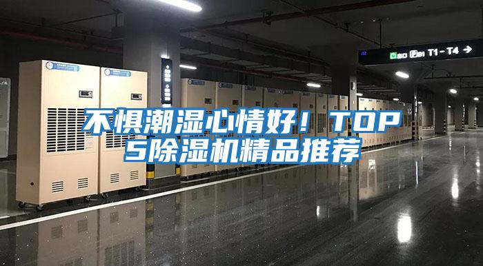 不惧潮湿心情好！TOP5除湿机精品推荐