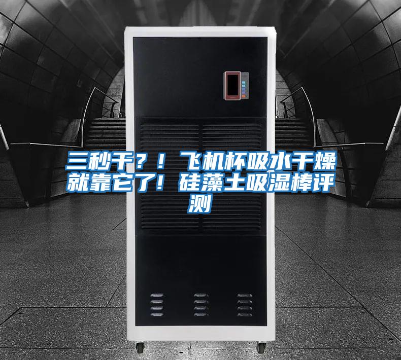 三秒干？! 飞机杯吸水干燥就靠它了! 硅藻土吸湿棒评测