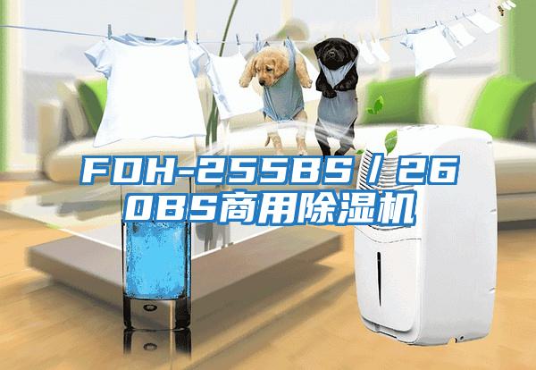 FDH-255BS／260BS商用除湿机