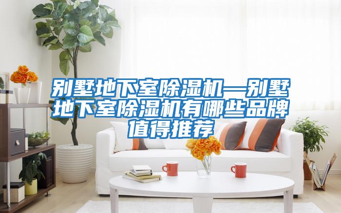 别墅地下室除湿机—别墅地下室除湿机有哪些品牌值得推荐
