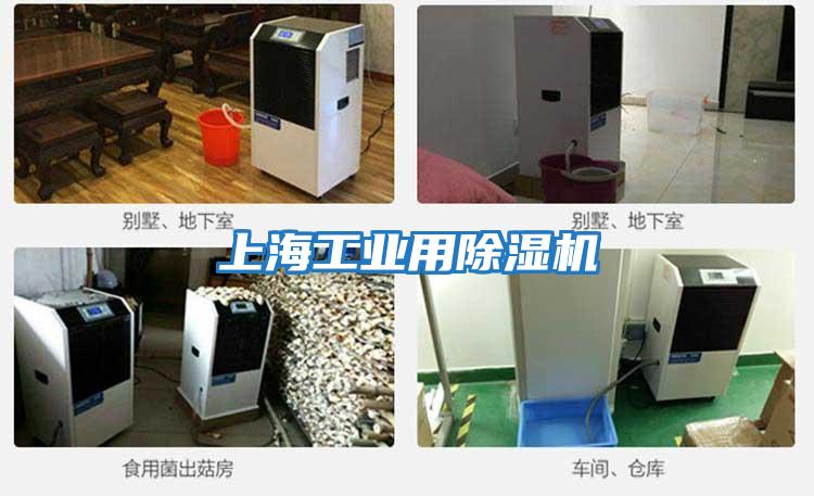 上海工业用除湿机