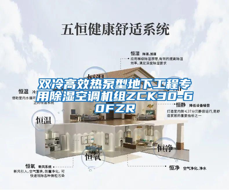 双冷高效热泵型地下工程专用除湿空调机组ZCK30-60FZR