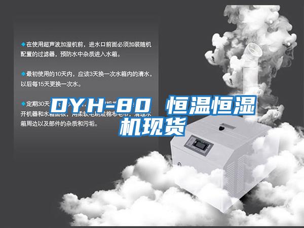 DYH-80 恒温恒湿机现货