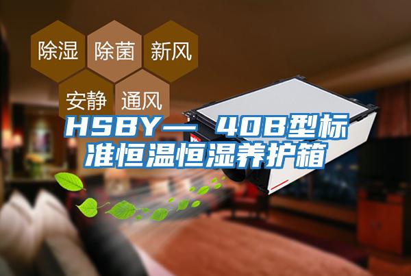 HSBY— 40B型标准恒温恒湿养护箱