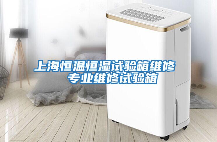 上海恒温恒湿试验箱维修  专业维修试验箱