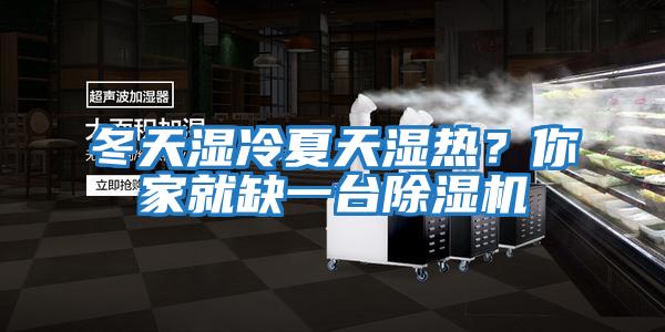 冬天湿冷夏天湿热？你家就缺一台除湿机