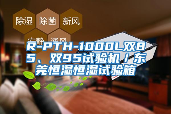 R-PTH-1000L双85、双95试验机／东莞恒湿恒湿试验箱