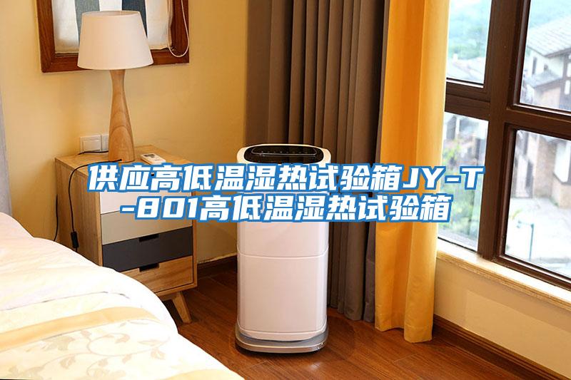 供应高低温湿热试验箱JY-T-801高低温湿热试验箱