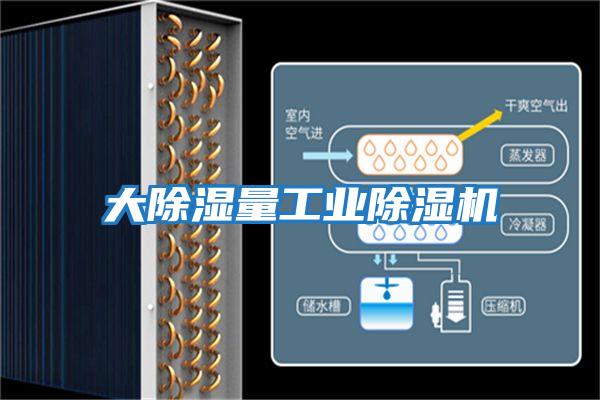 大除湿量工业除湿机