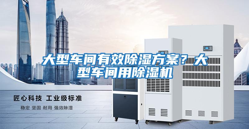 大型车间有效除湿方案？大型车间用除湿机