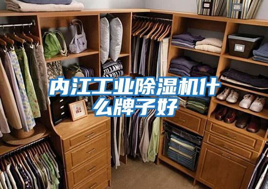 内江工业除湿机什么牌子好