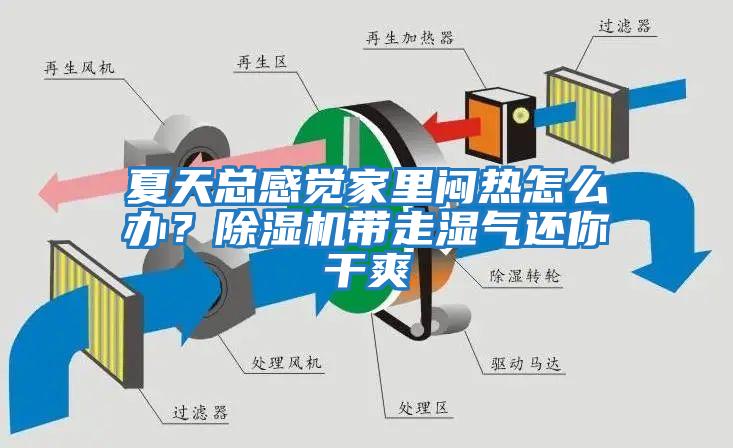 夏天总感觉家里闷热怎么办？除湿机带走湿气还你干爽