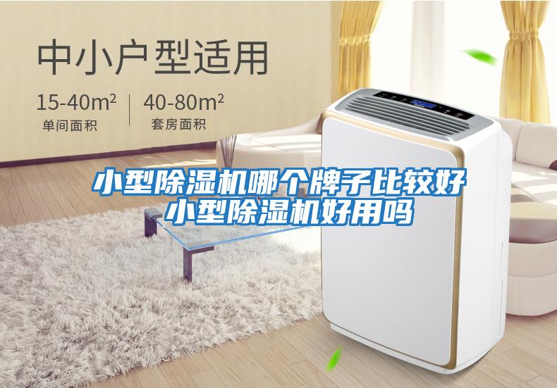 小型除湿机哪个牌子比较好 小型除湿机好用吗