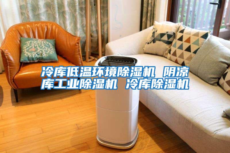 冷库低温环境除湿机 阴凉库工业除湿机 冷库除湿机