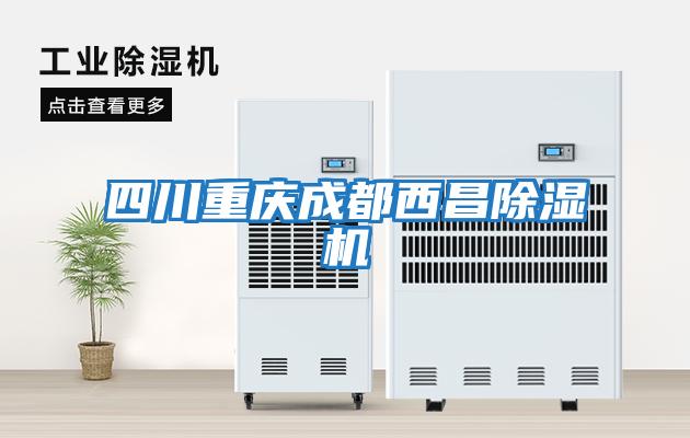 四川重庆成都西昌除湿机