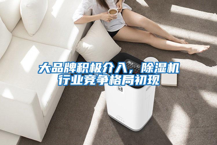 大品牌积极介入，除湿机行业竞争格局初现