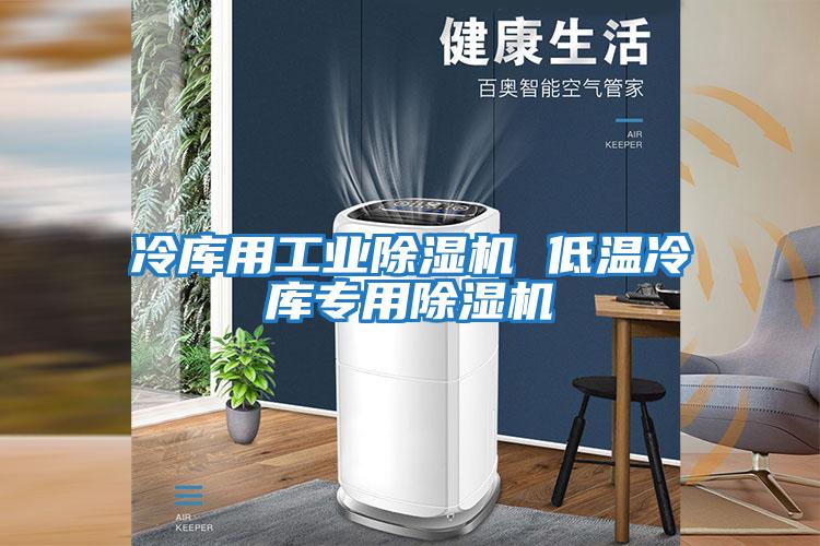 冷库用工业除湿机 低温冷库专用除湿机