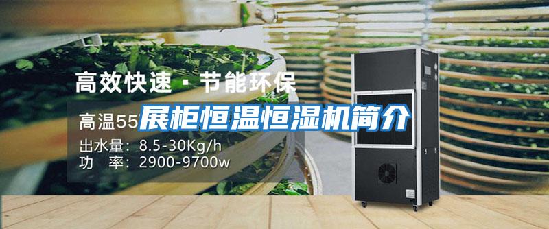 展柜恒温恒湿机简介