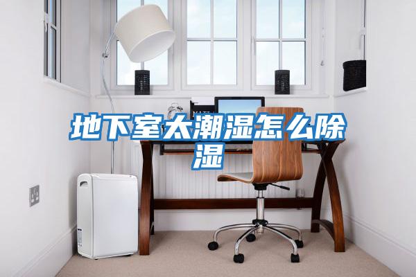 地下室太潮湿怎么除湿