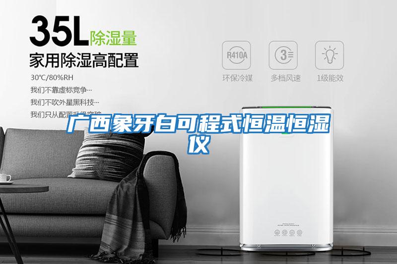 广西象牙白可程式恒温恒湿仪