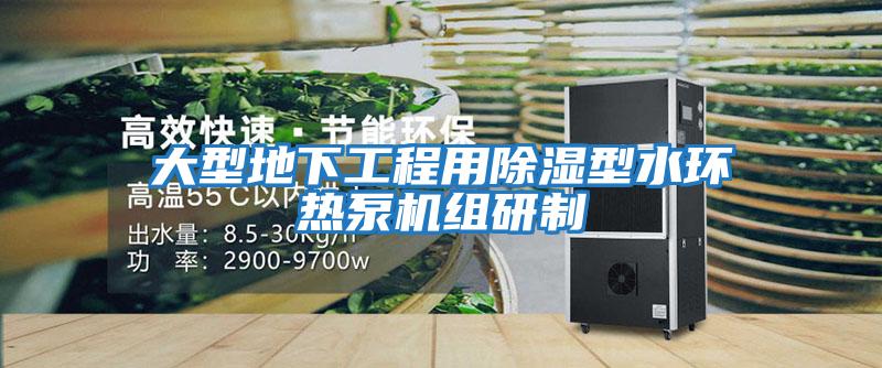 大型地下工程用除湿型水环热泵机组研制