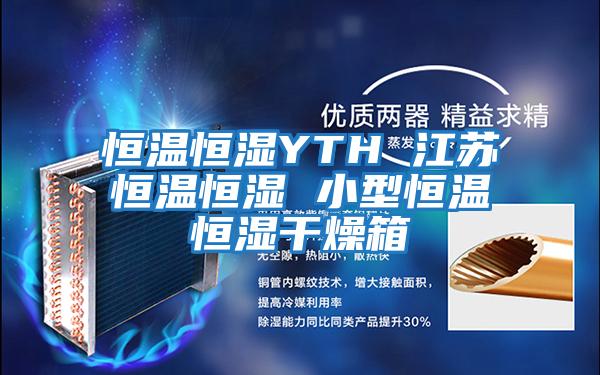 恒温恒湿YTH 江苏恒温恒湿 小型恒温恒湿干燥箱