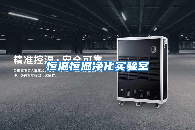 恒温恒湿净化实验室