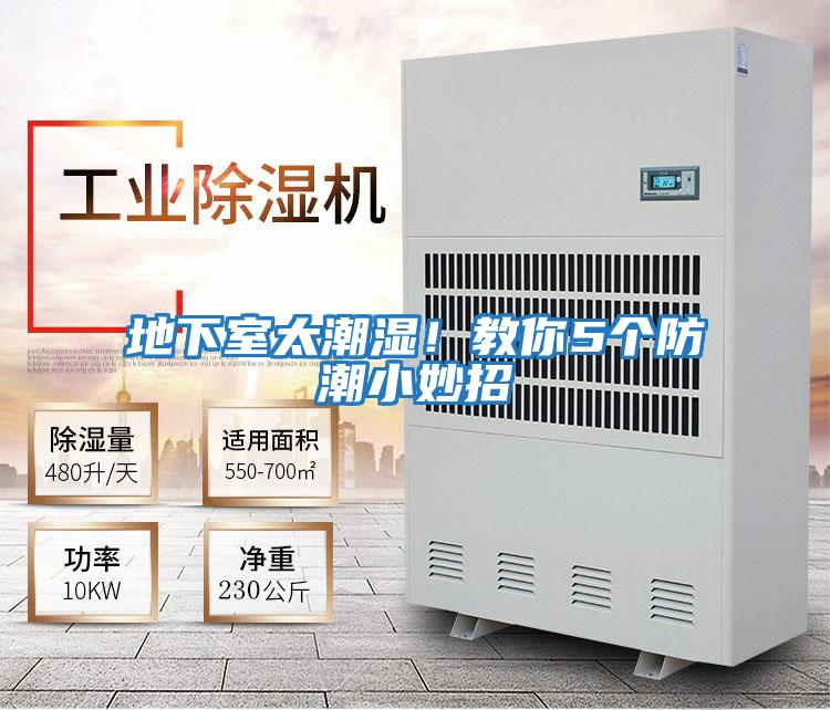 地下室太潮湿！教你5个防潮小妙招