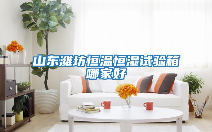 山东潍坊恒温恒湿试验箱哪家好