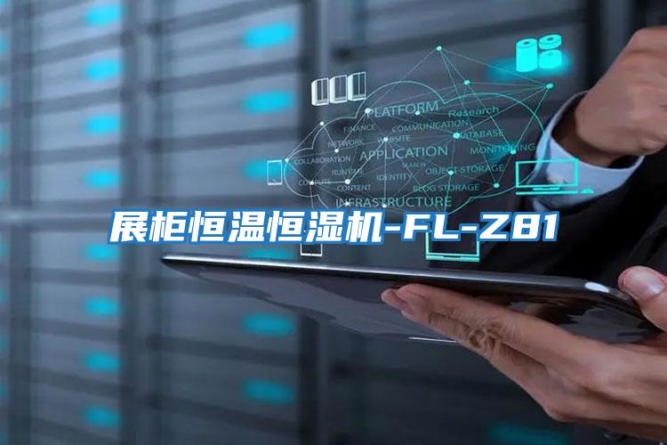 展柜恒温恒湿机-FL-Z81