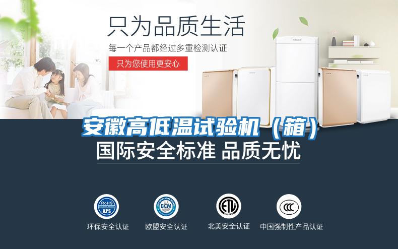 安徽高低温试验机（箱）