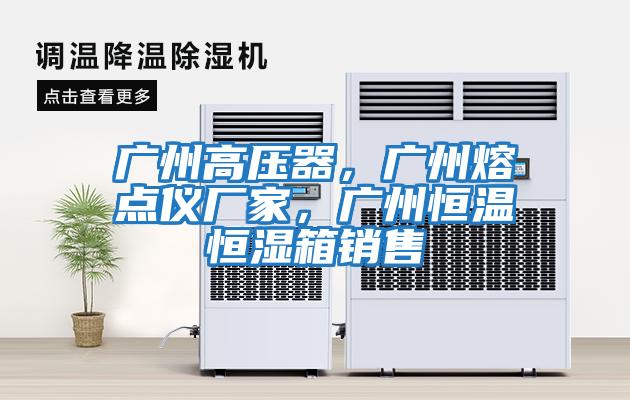 广州高压器，广州熔点仪厂家，广州恒温恒湿箱销售
