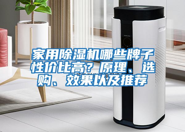 家用除湿机哪些牌子性价比高？原理、选购、效果以及推荐