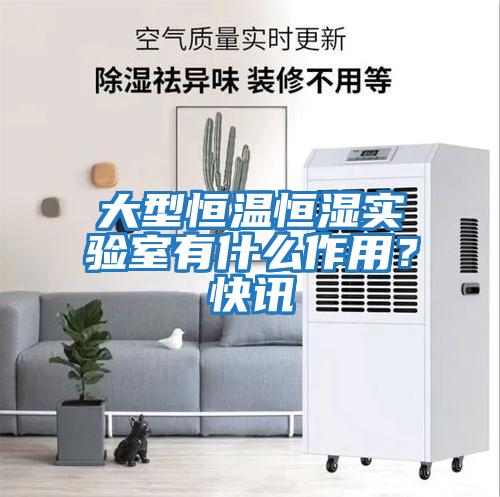 大型恒温恒湿实验室有什么作用？快讯