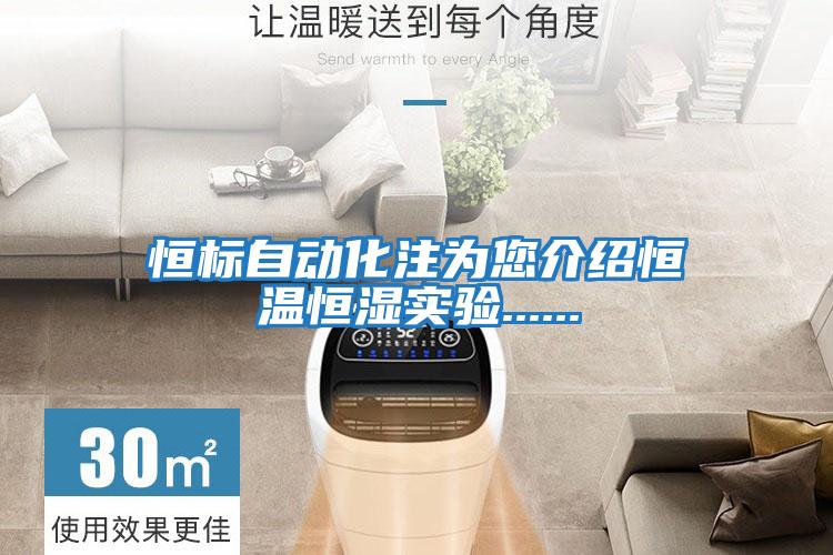 恒标自动化注为您介绍恒温恒湿实验......