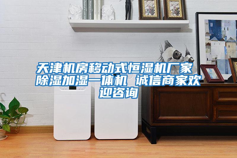 天津机房移动式恒湿机厂家 除湿加湿一体机 诚信商家欢迎咨询