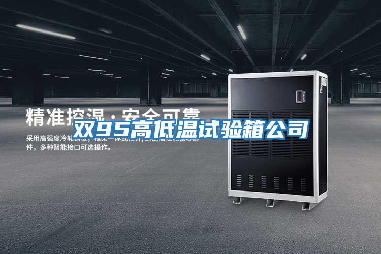 双95高低温试验箱公司