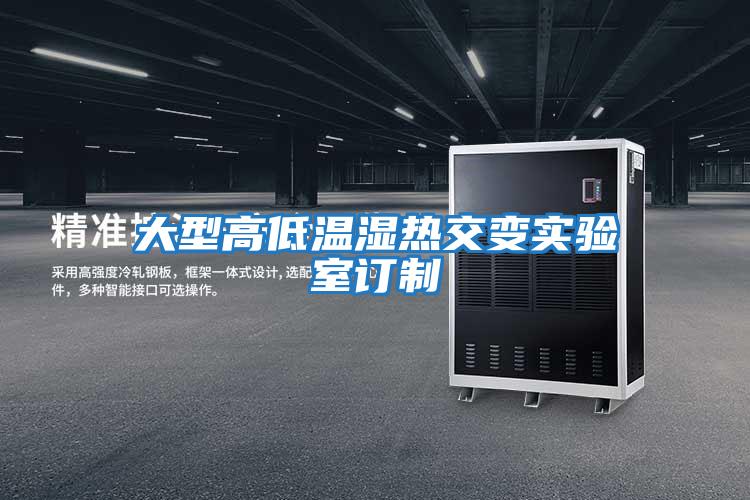 大型高低温湿热交变实验室订制