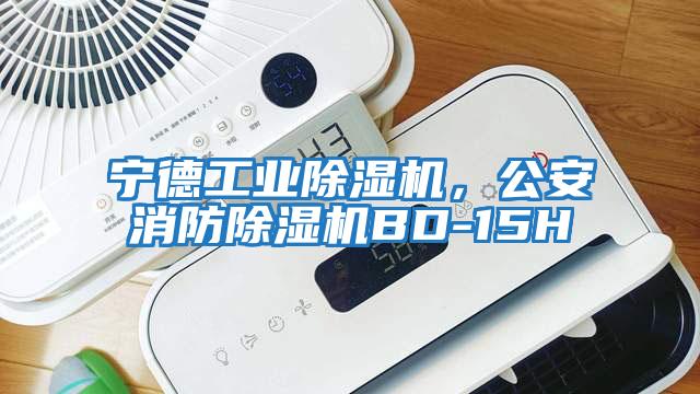 宁德工业除湿机，公安消防除湿机BD-15H