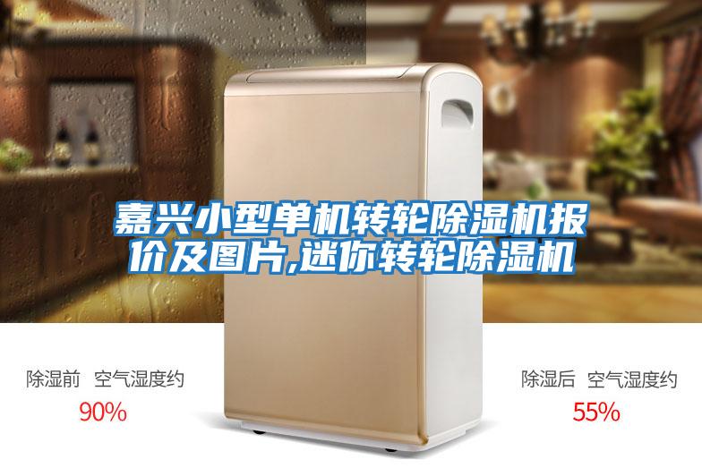 嘉兴小型单机转轮除湿机报价及图片,迷你转轮除湿机