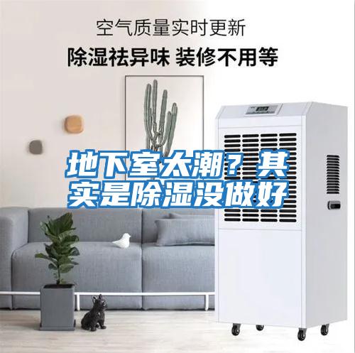 地下室太潮？其实是除湿没做好