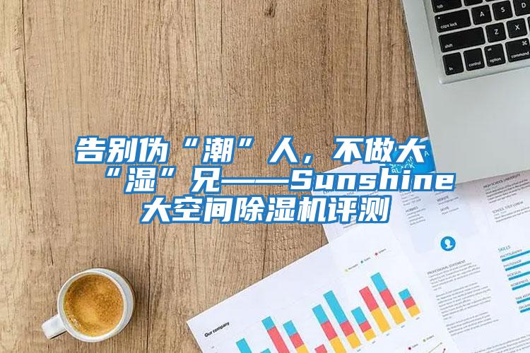 告别伪“潮”人，不做大“湿”兄——Sunshine大空间除湿机评测