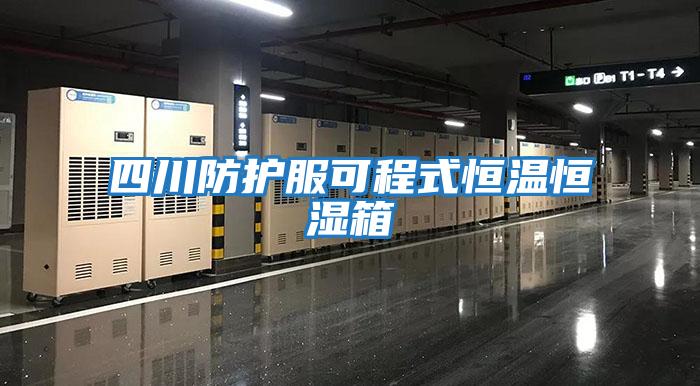 四川防护服可程式恒温恒湿箱