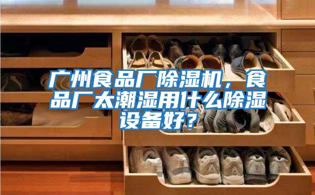 广州食品厂除湿机，食品厂太潮湿用什么除湿设备好？