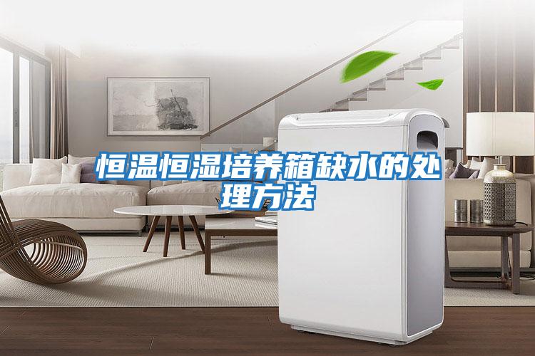 恒温恒湿培养箱缺水的处理方法